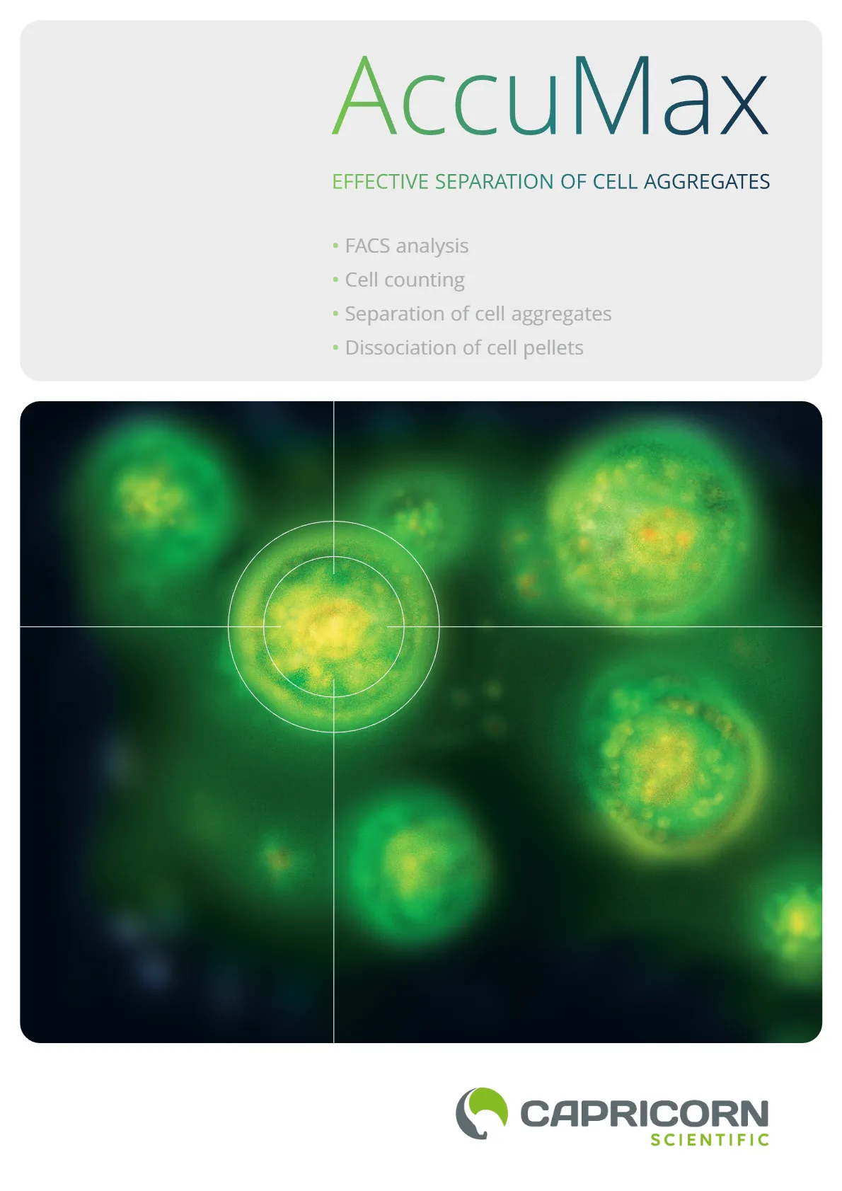 AccuMax: Effective Separation of Cell Aggregates