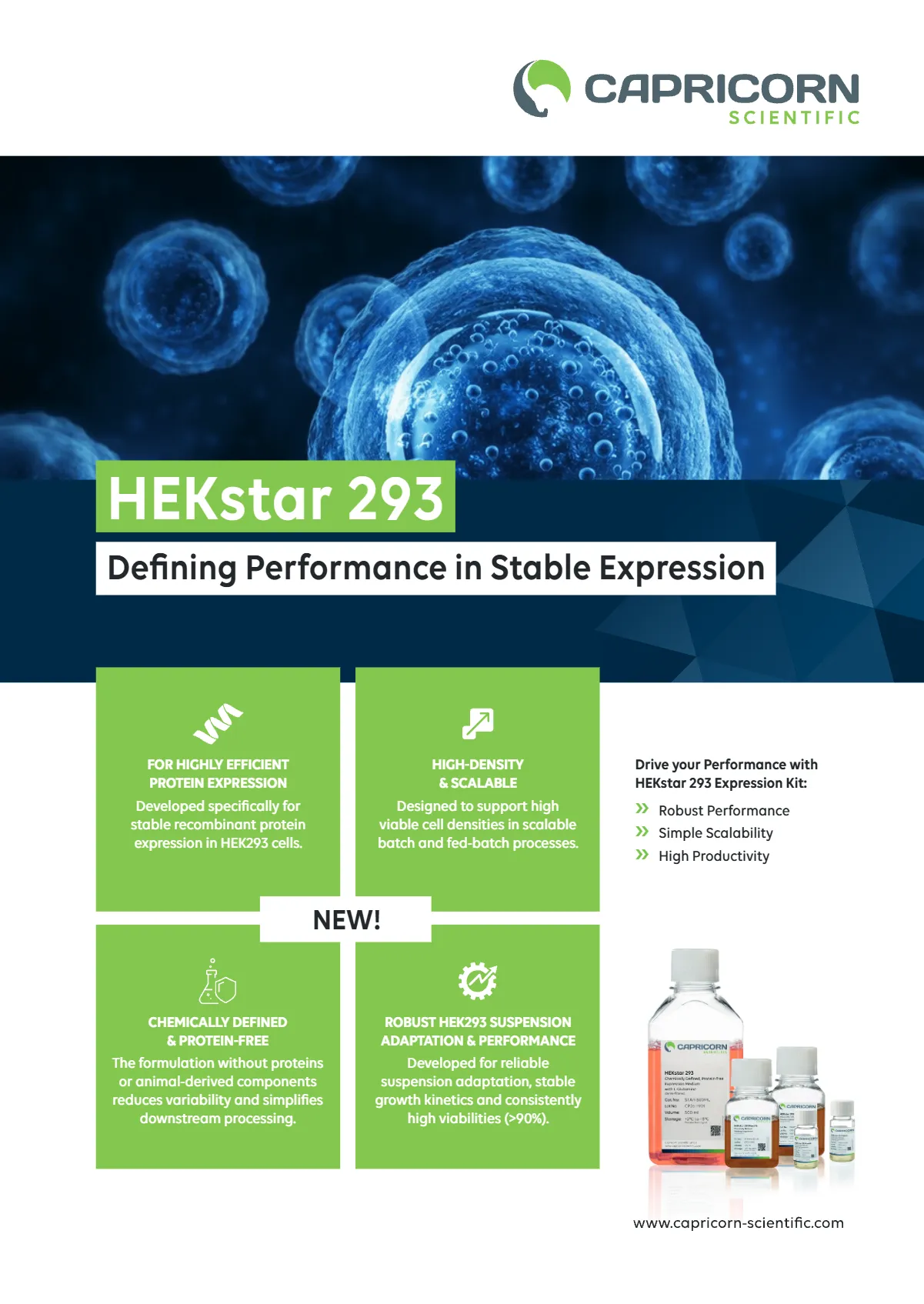 HEKstar 293: Defining Performance in Stable Expression