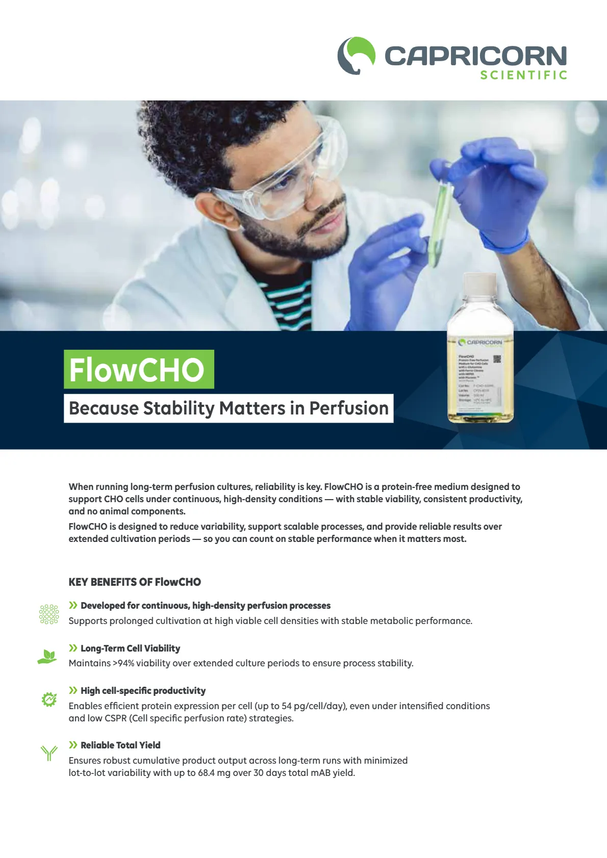 FlowCHO: Because Stability Matters in Perfusion