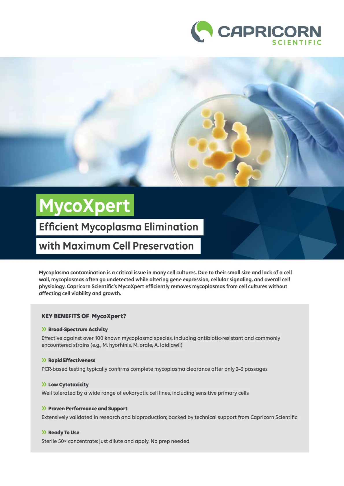 MycoXpert: Efficient Mycoplasma Elimination with Maximum Cell Preservation