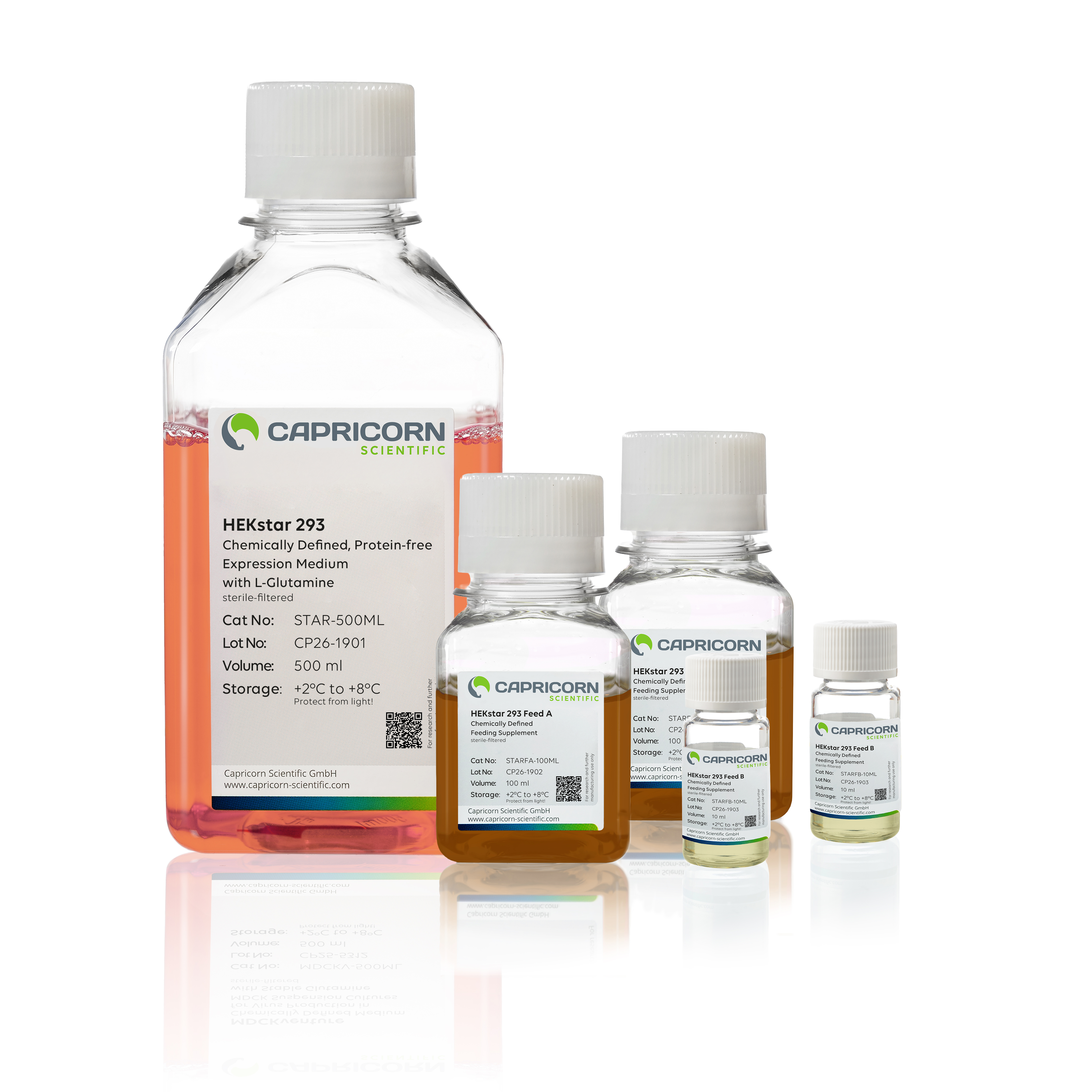 HEKstar 293 Expression Kit | Complete Medium System for HEK293