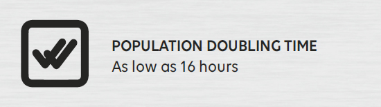 CHOventure: Population Doubling Time