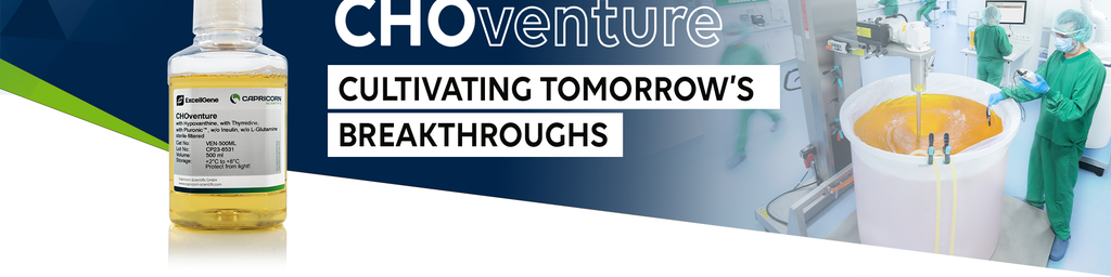 CHOventure: Cultivating Tomorrow's Breakthroughs