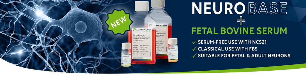 NeuroBase: Our new product line for maximum cell viability