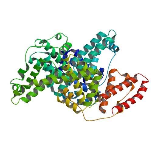 Bovine Serum Albumin (BSA): Kristall-Struktur | Capricorn Scientific