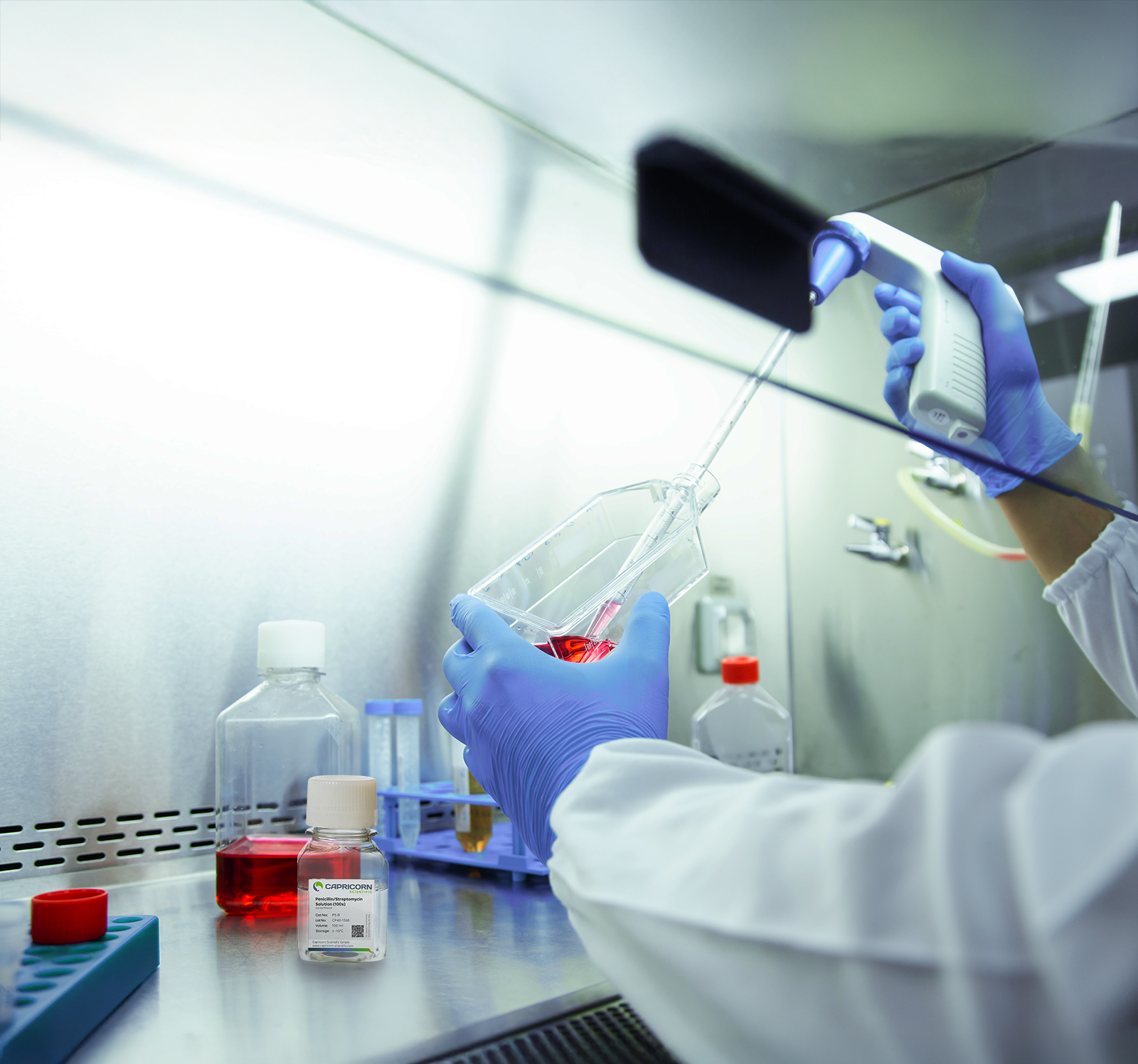 Behandschuhte Hände pipettieren rotes Zellkulturmedium in eine Kulturflasche unter einer Sicherheitswerkbank; auf der Edelstahloberfläche steht eine Penicillin/Streptomycin-Flasche von Capricorn Scientific.