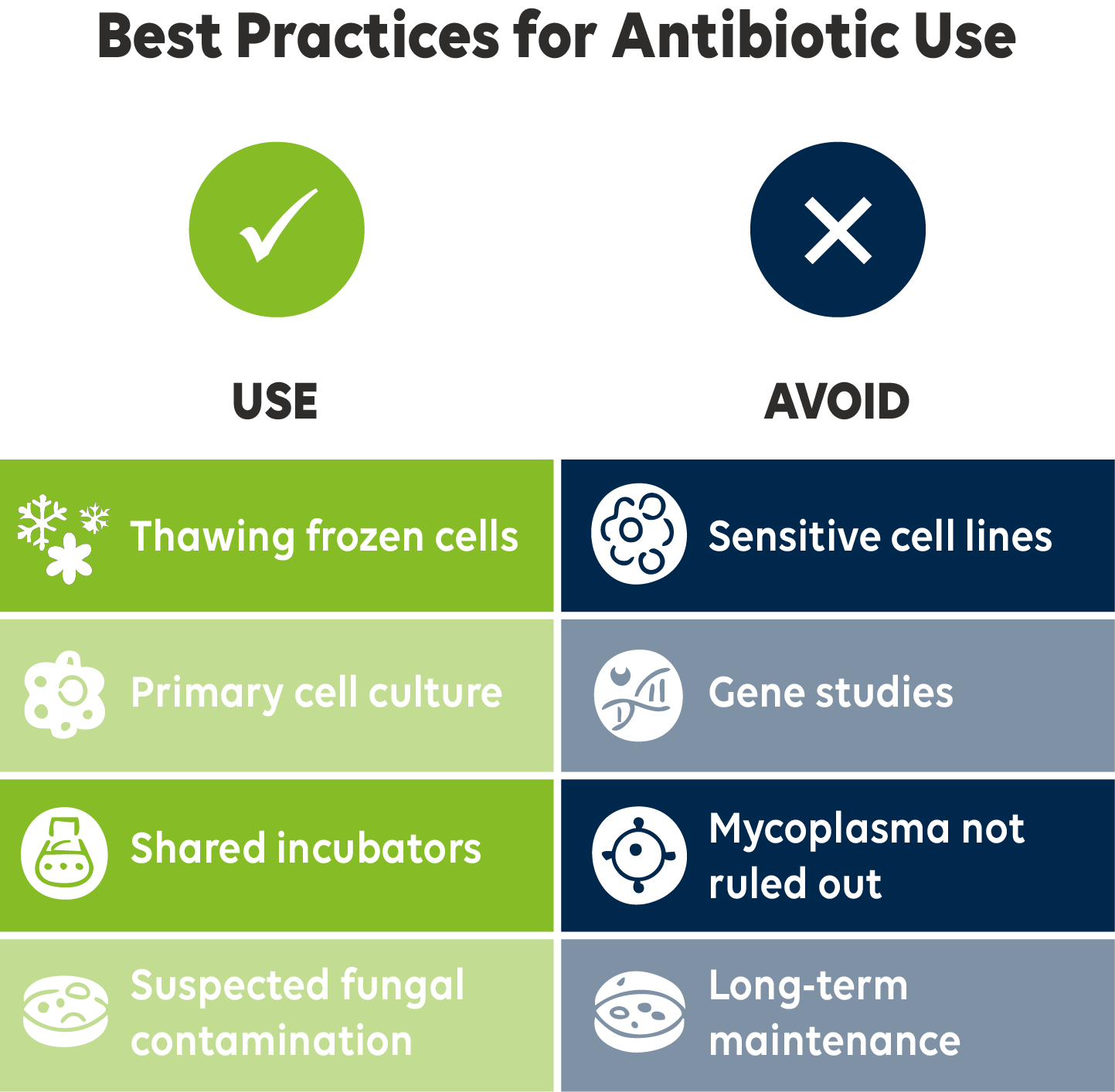 Infografik mit dem Titel 'Best Practices für den Antibiotikaeinsatz in der Zellkultur', die einen Vergleich empfohlener und nicht empfohlener Szenarien zeigt, mit Symbolen für Laboreinstellungen, Zellauftauen, Genstudien und Mykoplasmennachweis.