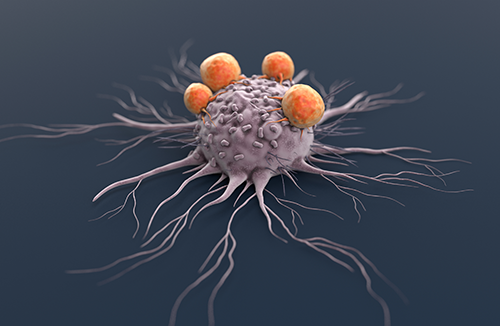 Illustration of cancer cell being attacked by lypmhocytes