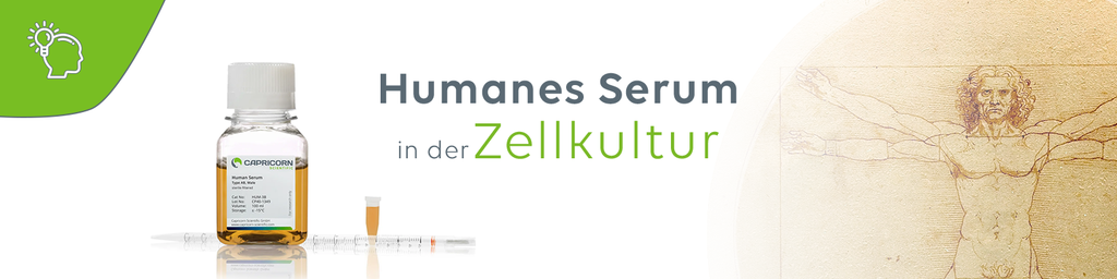 Humanes Serum in der Zellkultur | Knowledge Center | Capricorn Scientific