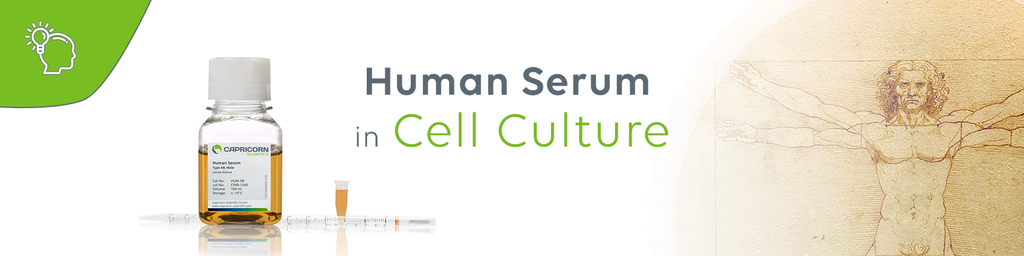 Human Serum in Cell Culture | Knowledge Center | Capricorn Scientific