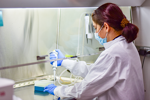 Cell culture lab worker with PPE