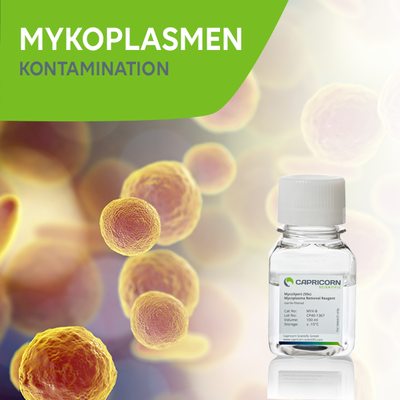 Mycoplasma Teaser | Knowledge Center