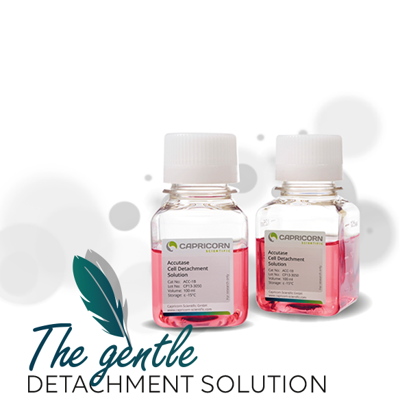Accutase™: A gentle alternative for Trypsin applications