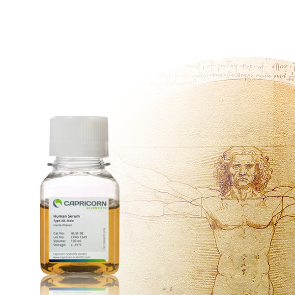 Human Serum: Everything You Need to Know