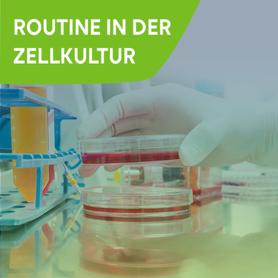 Knowledge Center Kategorie-Teaser: Routine in der Zellkultur