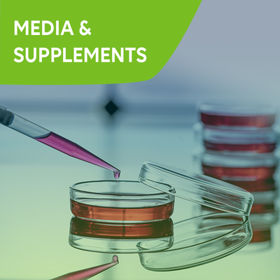 Knowledge Center Category Teaser: Media & Supplements