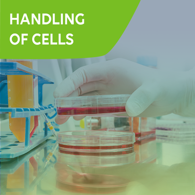 Knowledge Center Category Teaser: Handling of Cells