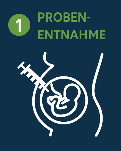 01 - Probenentnahme