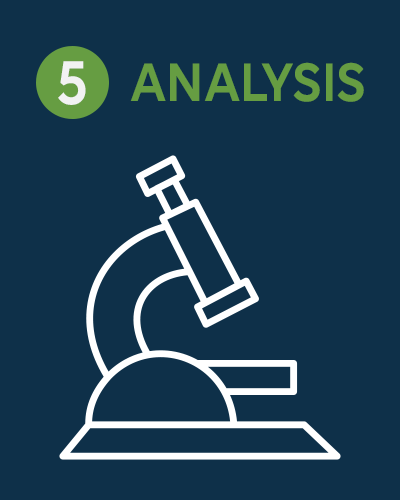 05 - Analysis